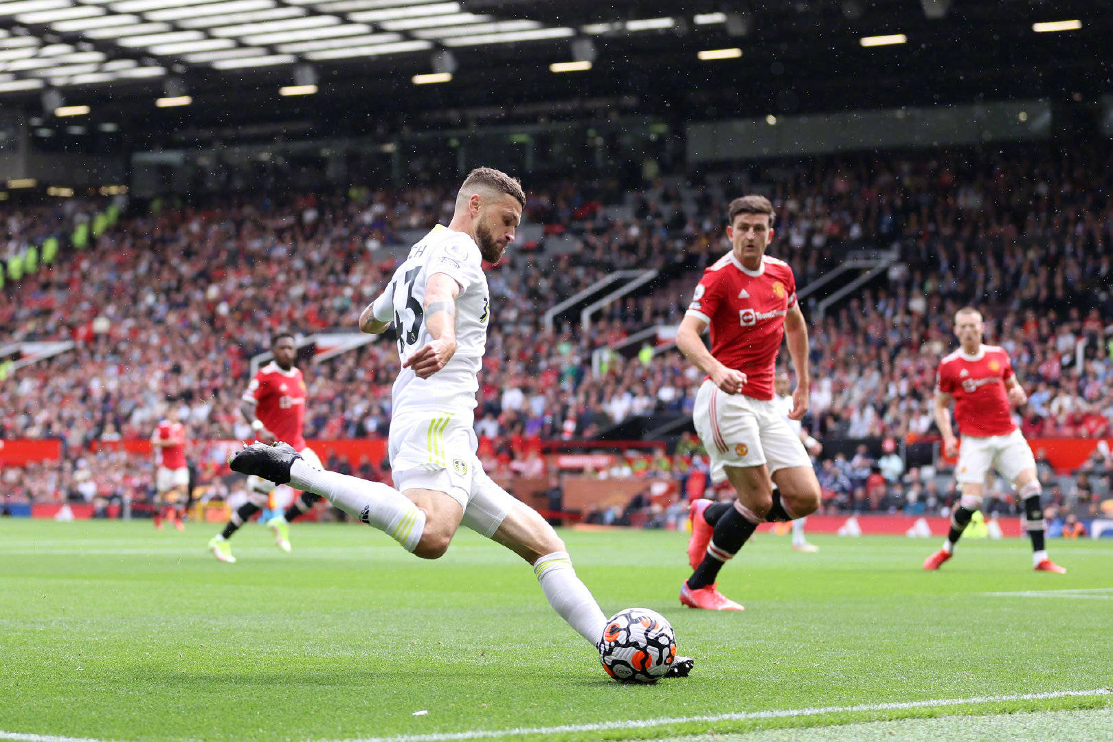 是比利时后 是比利时后